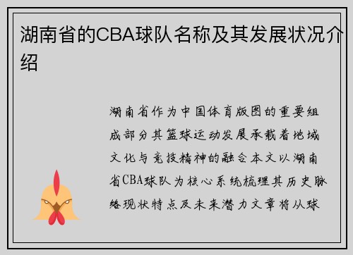 湖南省的CBA球队名称及其发展状况介绍